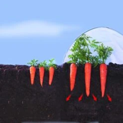 Kweekfolie / Tunnelfolie - 2 × 10 M -Gardena Winkel 1534088192 2 600