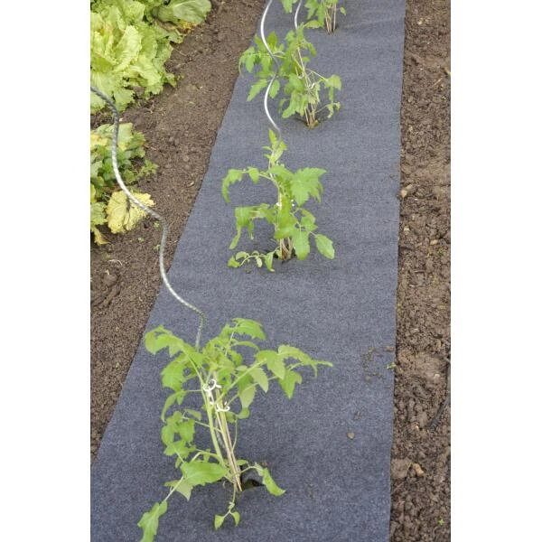 Gronddoek Vilt Met Openingen Voor Tomaten En Aardbeien - 60 Cm X 5 M 1 Gronddoek Vilt Met Openingen Voor Tomaten En Aardbeien - 60 Cm X 5 M