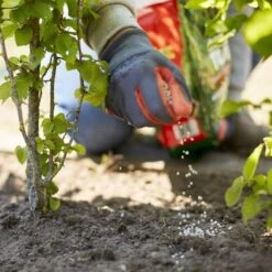 Compo Turbo Hagen - 4 Kg -Gardena Winkel 1709217573 3 600