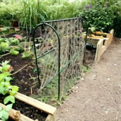 Hoepel Voor Erwten - 100 X 30 X 100 Cm -Gardena Winkel 1715685287 3 600