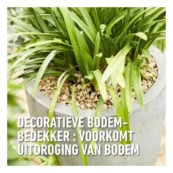Compo Bio Granuplant Puimsteenkorrels - 25 L -Gardena Winkel 1740472762 5 600