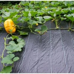 Gronddoek - Onkruidwerend 2 M × 5 M -Gardena Winkel antionkruiddoek 2 x 5 m 1511788904 1 600