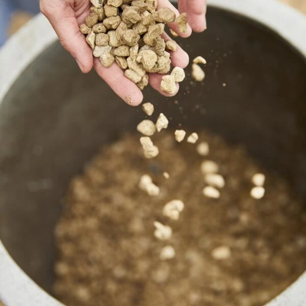Compo Bio Granuplant Puimsteenkorrels - 40 L 3 Compo Bio Granuplant Puimsteenkorrels - 40 L - Afbeelding 3