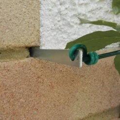 Druivengeleiders - Set Van 4 Stuks