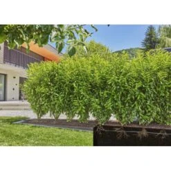 Gardena Micro-Drip-Bewatering Heggen/struiken Set - 50 M -Gardena Winkel gardena mdb druppelbuis set 50 m 1683727538 4 600