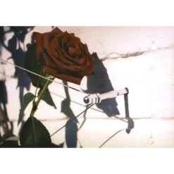 Geleidingssysteem Voor Klimplanten Palissa -Gardena Winkel geleidingssysteem voor klimplanten 1601382137 3 600