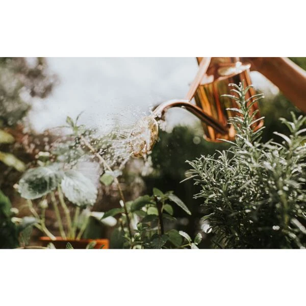 Haws Gieter 1 L - Koper 3 Haws Gieter 1 L - Koper - Afbeelding 3