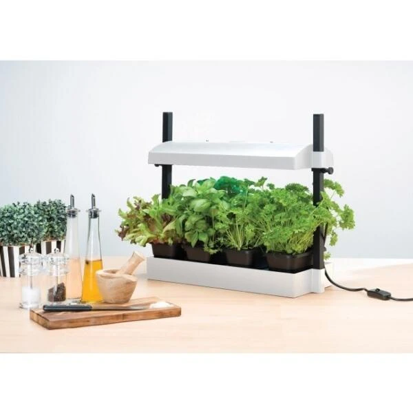 Groeilicht Met Kweekset - Wit 1 Groeilicht Met Kweekset - Wit