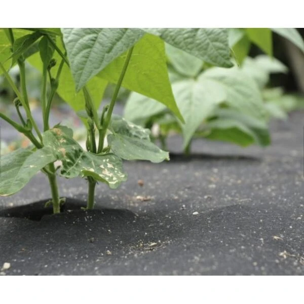 Gronddoek Vilt Met Openingen Voor Sla En Bonen - 60 Cm × 5 M - Afbeelding 2