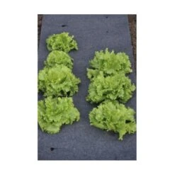 Gronddoek Vilt Met Openingen Voor Sla En Bonen - 60 Cm × 5 M -Gardena Winkel gronddoek voor sla en bonen 60 cm x 5 m 1513845998 3 600