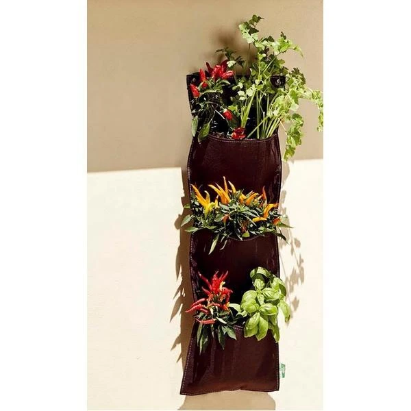 Hangende Moestuin Met 3 Vakken - 26 × 70 Cm 2 Hangende Moestuin Met 3 Vakken - 26 × 70 Cm - Afbeelding 2