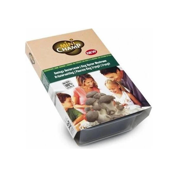 Kweekset 3 Liter Koningsoesterzwam 1 Kweekset 3 Liter Koningsoesterzwam