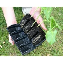 Kweektray Deep Roots - 32 Cellen -Gardena Winkel kweektray deep roots 32 cellen 1521400145 1 600