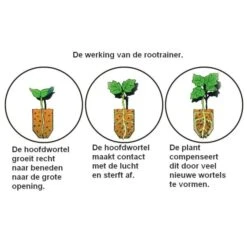Kweektray Rapid Roots - 32 Cellen -Gardena Winkel kweektray rapid roots 32 cellen 1487680788 0 600