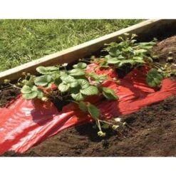 Rode Folie Voor Een Betere Plantengroei -Gardena Winkel mulchfolie rood aardbeien en tomaten 1492072043 1 600