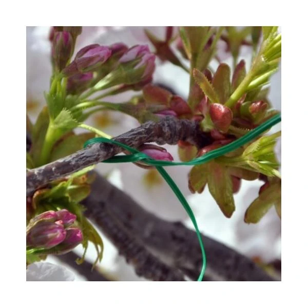 Multifunctionele Binders Geplastificeerde Metaal 1 Multifunctionele Binders Geplastificeerde Metaal