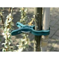 Plantenclips - Springclips Large - Set Van 5 Stuks