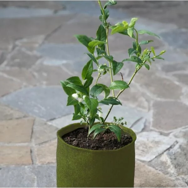 Plantzakken 5 Liter Vigoroot - Set Van 3 Stuks 2 Plantzakken 5 Liter Vigoroot - Set Van 3 Stuks - Afbeelding 2