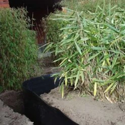 Rootblock Professionele Wortelwering 60 Cm Hoog - / Strekkende Meter -Gardena Winkel rootblock professionele wortelwering 1552733360 3 600