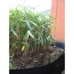 Rootblock Professionele Wortelwering 60 Cm Hoog - / Strekkende Meter -Gardena Winkel rootblock professionele wortelwering 1552733360 5 600