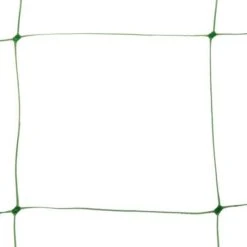 Klimgaas Erwten En Bonen 2m × 10 M 5 Klimgaas Erwten En Bonen 2m × 10 M -Gardena Winkel steungaas klimgaas 2 x 10 meter 1484065488 1 600