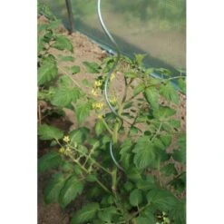 Tomatenspiralen - 170 Cm -Gardena Winkel tomatenspiralen 1484054760 5 600