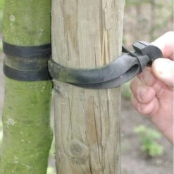 Tree-fix Boombinder 30 Cm/15 Mm - Set Van 10 Stuks -Gardena Winkel treefix boombinder 30 cm15 mm 1547129682 1 600